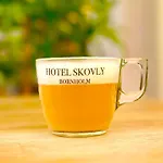 Skovly Hotel Rønne