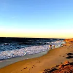 Skovly 3*