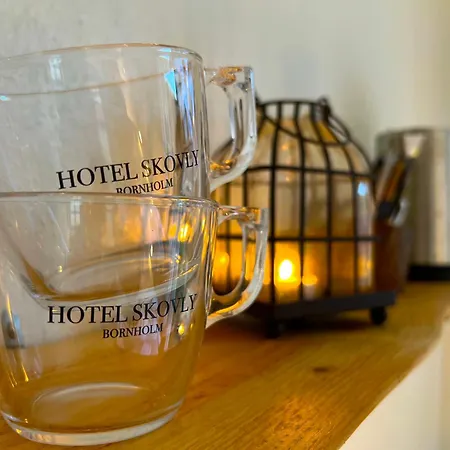 Skovly Hotel 3*