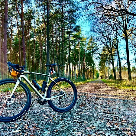 Skovly 3*