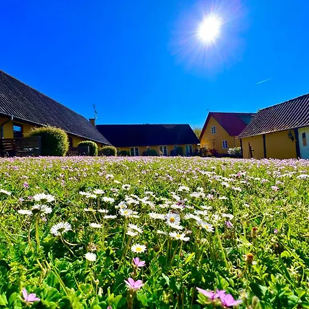 Skovly Ronne