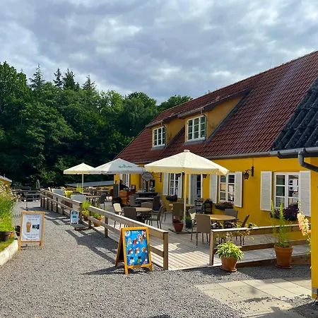 Skovly 3* Ronne
