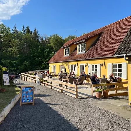 Skovly Ronne
