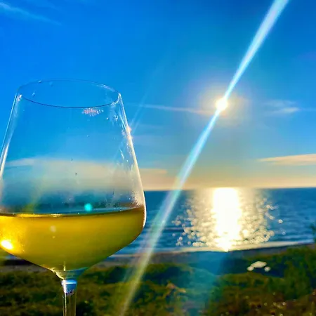 호텔 스코블리 3*