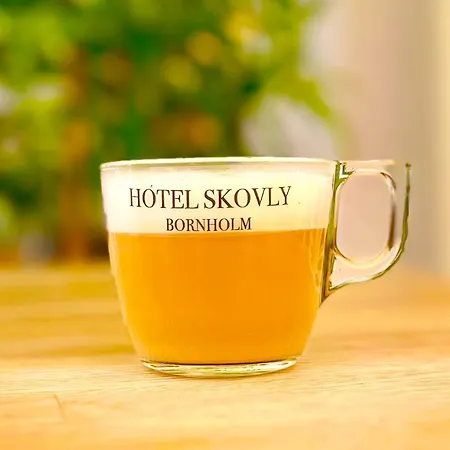 Skovly Hotel Ronne