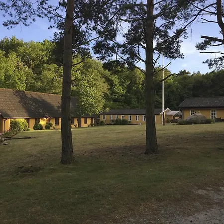 Skovly