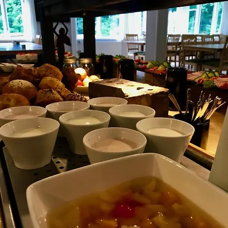 Hotel Skovly Ronne