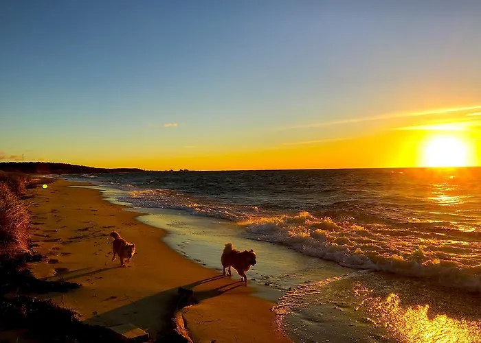 스코블리 3* 론네
